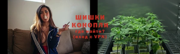 spice Гусев