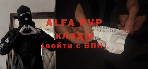 spice Гусев