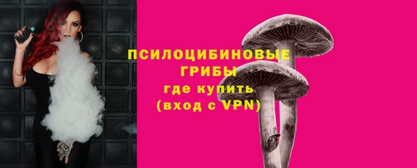 ALPHA PVP Гусь-Хрустальный
