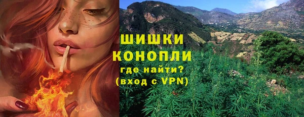 дживик Гусиноозёрск