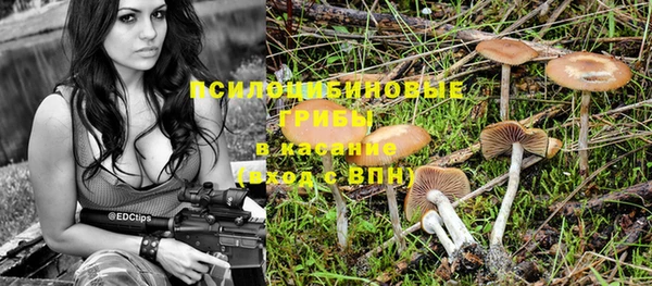 дживик Гусиноозёрск