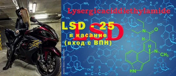 spice Гусев