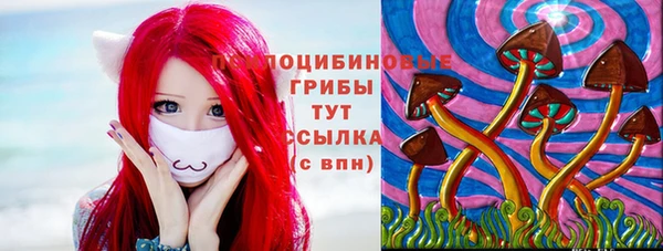 дживик Гусиноозёрск