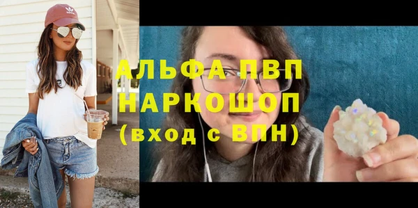 spice Гусев