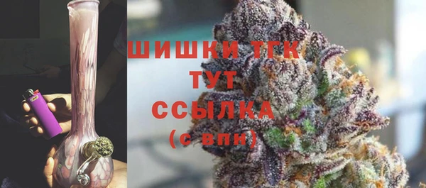 дживик Гусиноозёрск