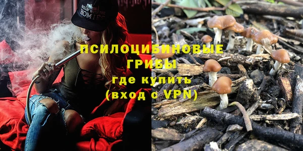 дживик Гусиноозёрск