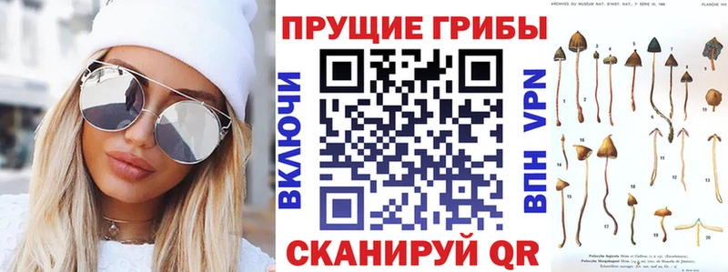 MEGA как зайти  Константиновск  Псилоцибиновые грибы прущие грибы 