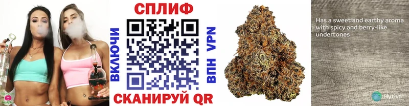 Конопля OG Kush  Константиновск 